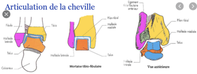 Capture d’écran 2021-05-10 à 18.44.37.png