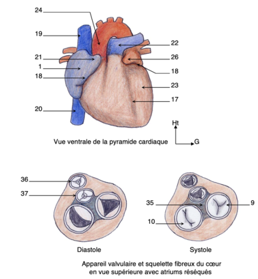 Capture d’écran 2021-05-11 à 11.04.47.png