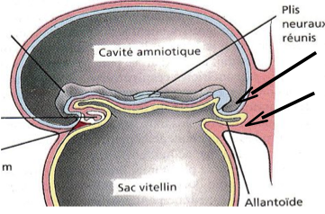 Capture d’écran 2011-12-30 à 14.16.47.png