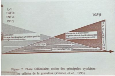 Capture d’écran 2011-12-30 à 14.46.35.png