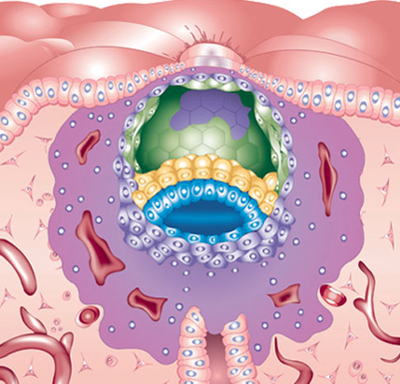 Capture d’écran 2011-12-30 à 21.40.02.png