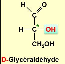 D-glycéraldéhyde.JPG