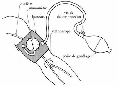 méthode auscultatoire.jpg
