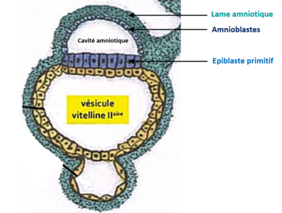 Capture d’écran 2021-08-21 170914.png