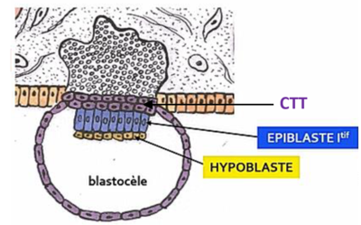 Capture d’écran 2021-08-21 172856.png