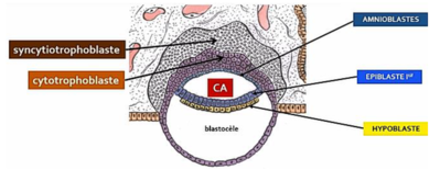 Capture d’écran 2021-08-08 152656.png