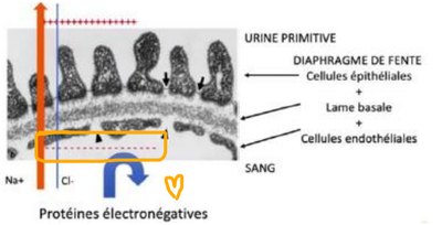 2021-08-21 22_27_17-Window.png