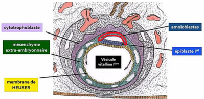 Capture d’écran 2021-08-24 111716.png