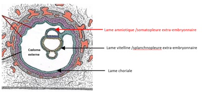 Capture d’écran 2021-08-24 113915.png