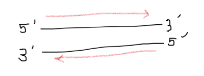 Capture d’écran 2021-08-25 à 10.35.08.png