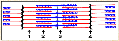 Image 2.png