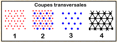 Image 5.png