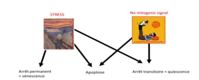 Capture d’écran 2021-09-03 à 10.26.52.png