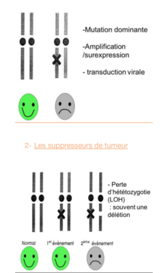 Capture d’écran 2021-09-03 181855.png