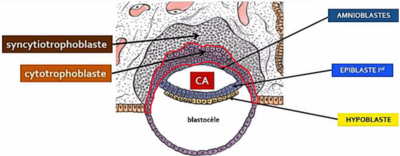 Capture d’écran 2021-09-05 170744.png