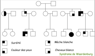 Capture d’écran 2021-09-07 à 19.00.03.png