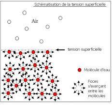 shéma tension sup.jpg