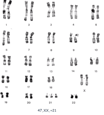 Capture d’écran 2021-09-17 à 12.11.16.png