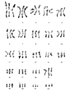 Capture d’écran 2021-09-17 à 12.11.59.png