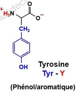 tyrosine.jpg