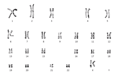 Capture d’écran 2021-09-19 à 23.10.36.png