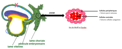 Capture d’écran 2021-09-21 154501.png