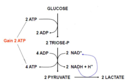 Capture d’écran 2021-09-23 à 11.25.03.png