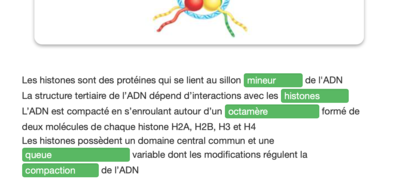 Capture d’écran 2021-09-23 à 15.04.55.png