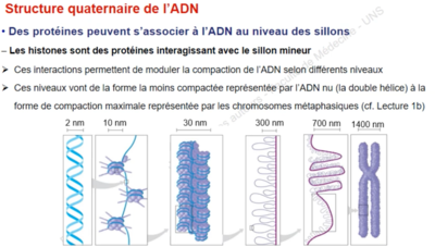Capture d’écran 2021-09-23 à 15.05.39.png