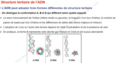Capture d’écran 2021-09-23 à 15.05.58.png