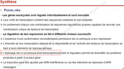 Capture d’écran 2021-09-23 à 15.53.33.png