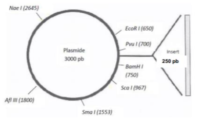 Capture d’écran 2021-09-23 à 18.27.23.png
