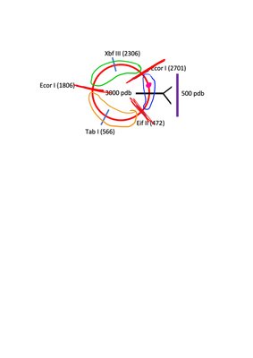 Bloc-notes sans titre-12.jpg