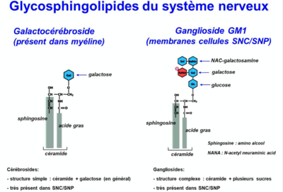 Capture d’écran 2021-10-05 à 01.37.40.png
