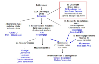 Capture d’écran 2021-10-05 à 14.45.59.PNG