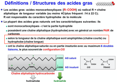 Capture d’écran 2021-10-05 à 18.56.20.png