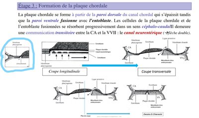 Capture d’écran (49)_LI.jpg