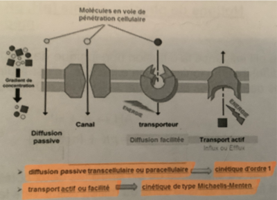 Capture d’écran 2021-10-10 à 17.32.55.png