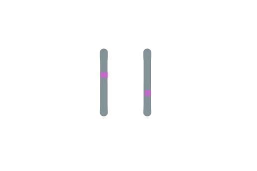 Capture d’écran 2021-10-13 à 16.00.32.png