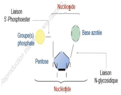 Capture d’écran 2021-10-15 à 09.03.47.png