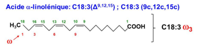 alpha linolénique.png