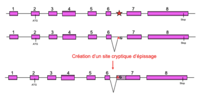 Capture d’écran 2021-10-17 à 18.15.36.png