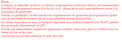 Capture d’écran 2021-10-20 161809.png