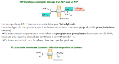 Capture d’écran 2021-10-20 165715.png