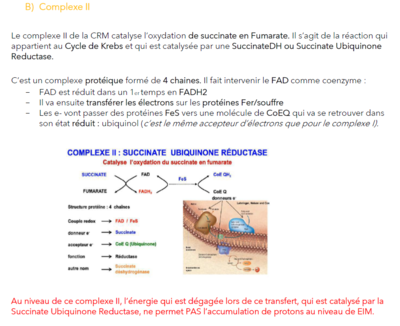 Capture d’écran 2021-10-20 172227.png