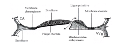 Capture d’écran 2021-10-21 115241.png