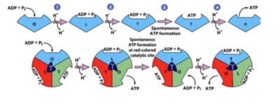 Capture d’écran 2021-10-21 155203.png