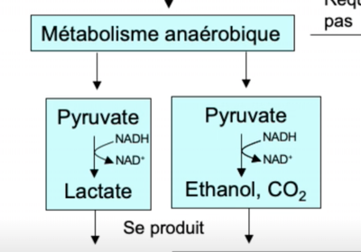 Capture d’écran 2021-10-21 à 17.14.25.png