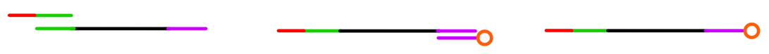 NGS 1.png