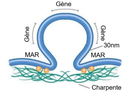 Capture d’écran 2021-10-23 à 10.58.32.png